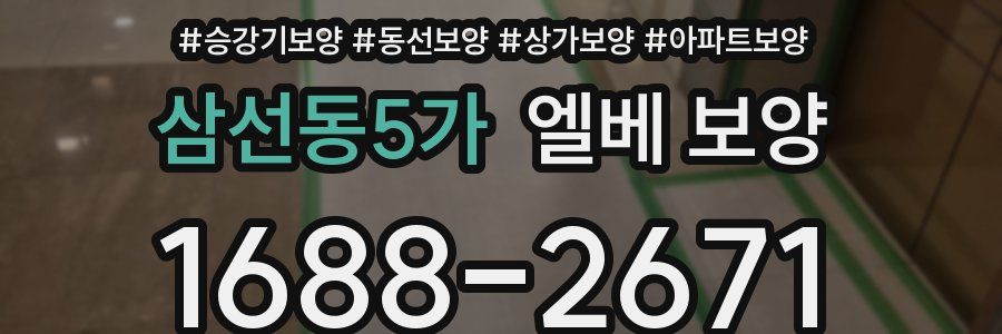 삼선동5가 엘베 보양
