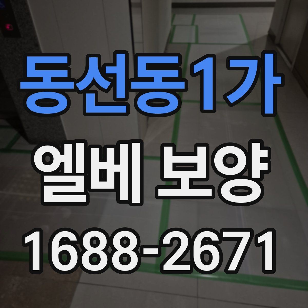 동선동1가 엘베 보양 교체·수리 공사 때 어디까지 해야 할까