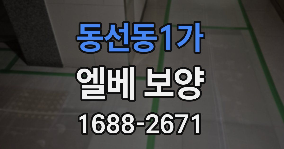 동선동1가 엘베 보양