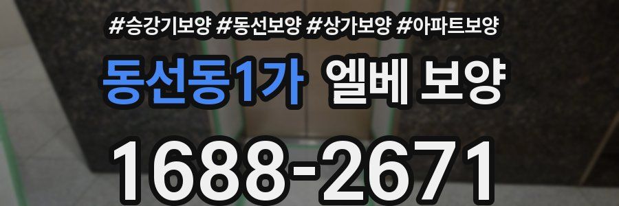 동선동1가 엘베 보양