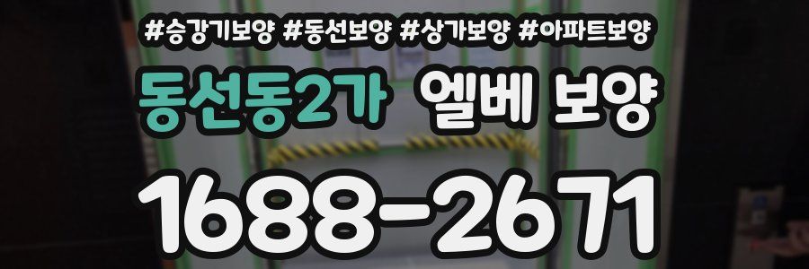 동선동2가 엘베 보양