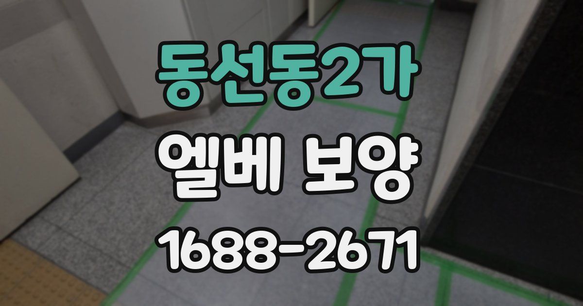 동선동2가 엘베 보양