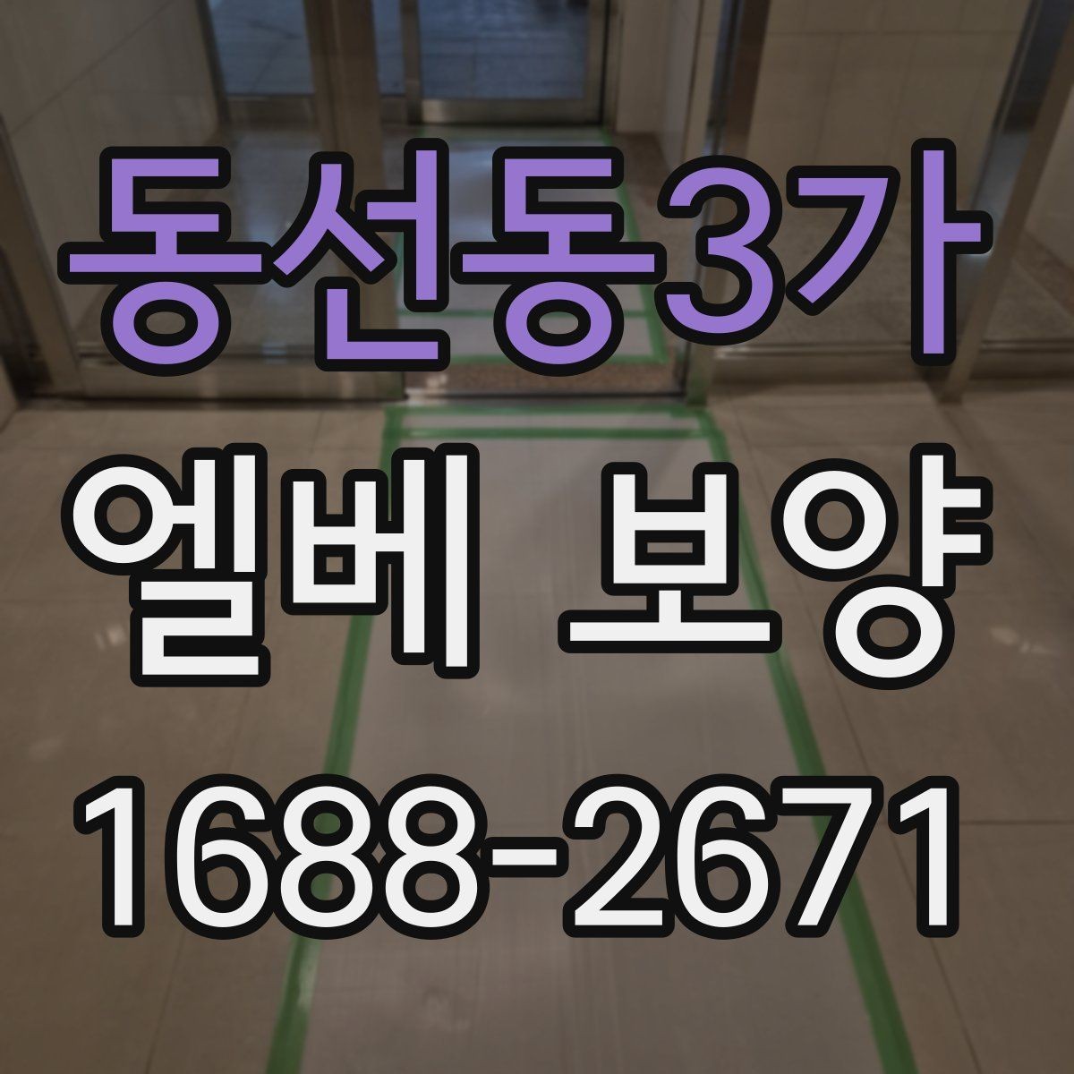 동선동3가 엘베 보양 테이프와 부자재를 고를 때 확인할 항목