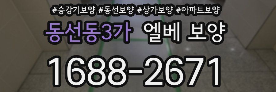 동선동3가 엘베 보양