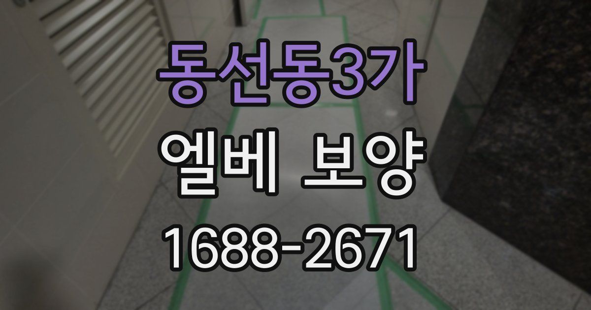 동선동3가 엘베 보양