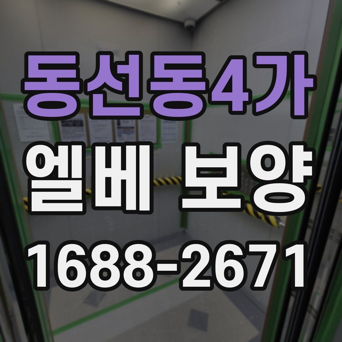 동선동4가 엘베 보양 승강기 내부와 출입부를 나눠 보는 법