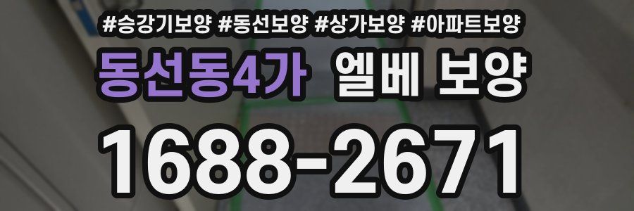 동선동4가 엘베 보양