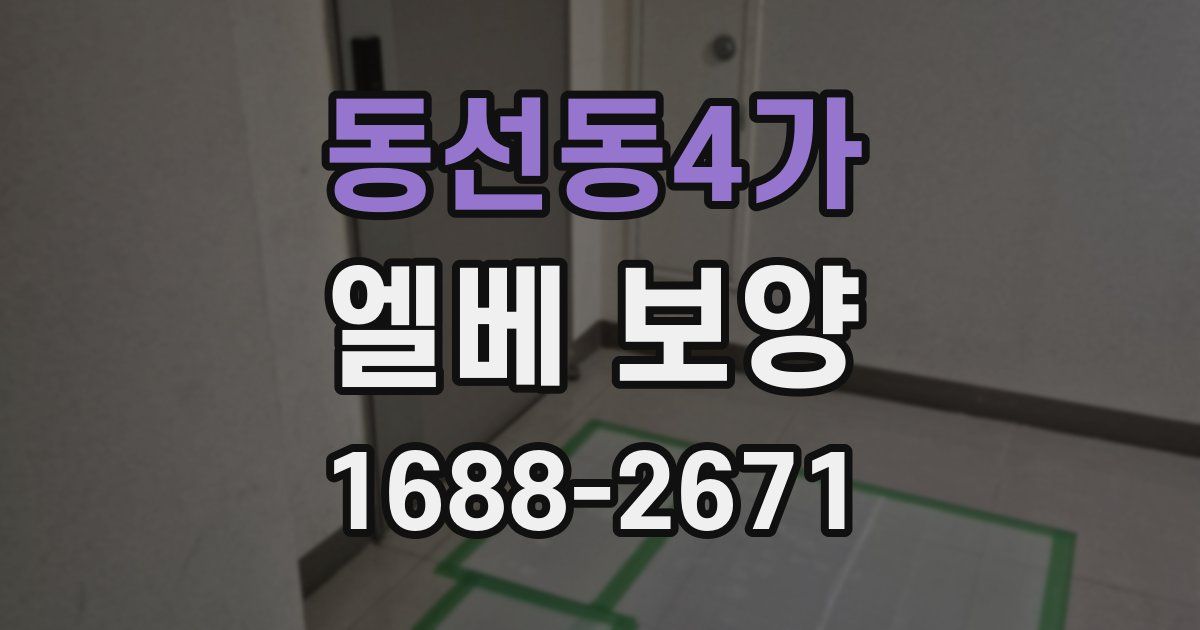 동선동4가 엘베 보양