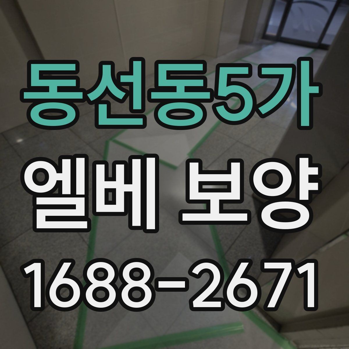 동선동5가 엘베 보양 보행 동선이 복잡한 공사장에서 먼저 볼 점