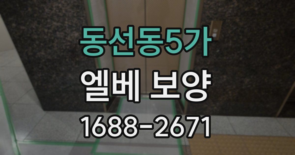 동선동5가 엘베 보양