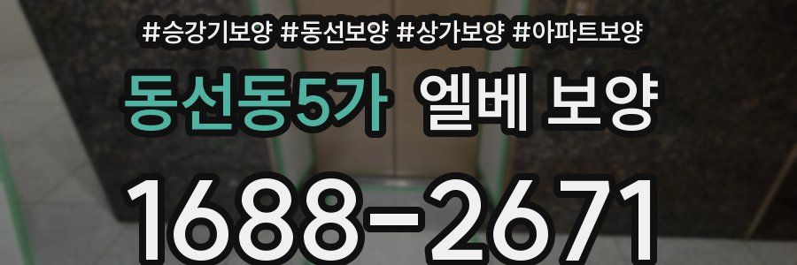 동선동5가 엘베 보양