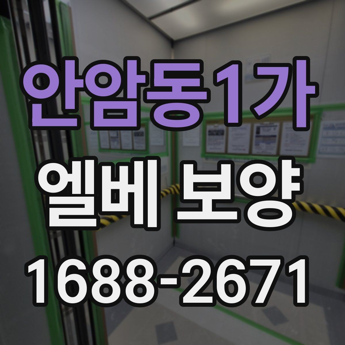 안암동1가 엘베 보양 보행자 왕래 많은 구간에서 먼저 봐야 할 점