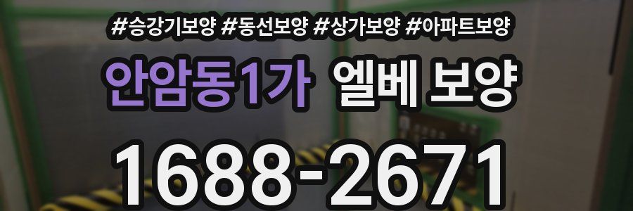안암동1가 엘베 보양