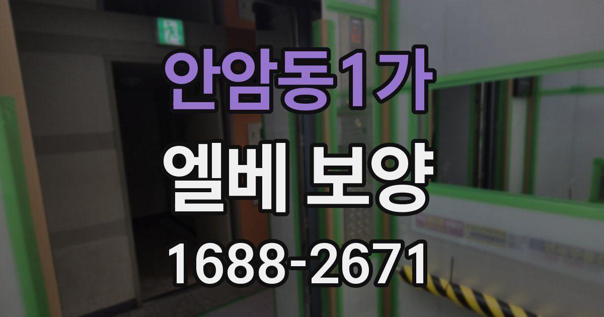 안암동1가 엘베 보양