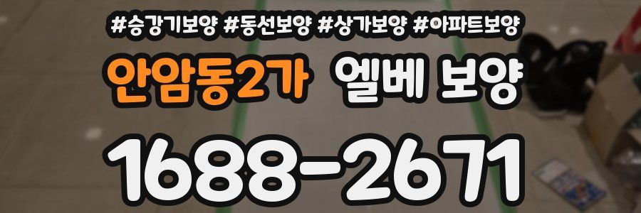 안암동2가 엘베 보양