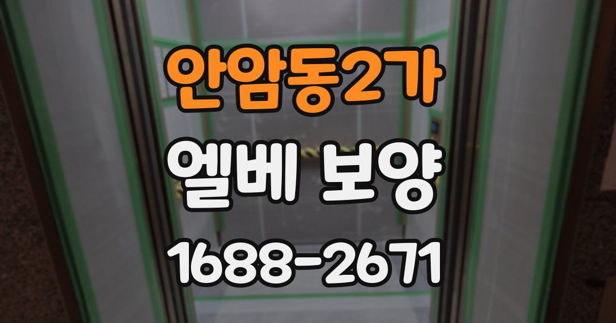 안암동2가 엘베 보양