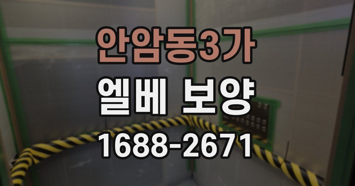 안암동3가 엘베 보양