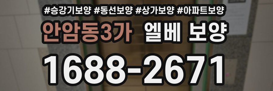안암동3가 엘베 보양