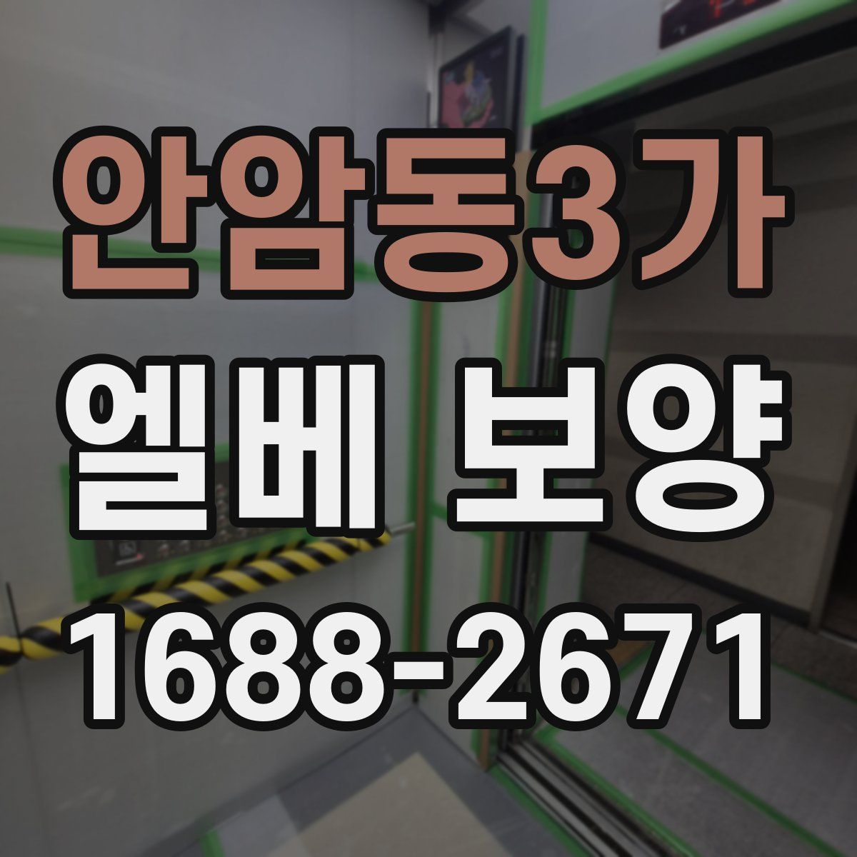 안암동3가 엘베 보양
