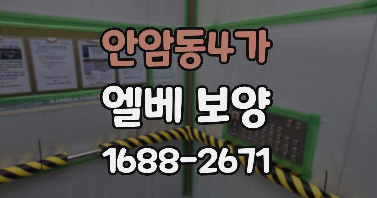 안암동4가 엘베 보양