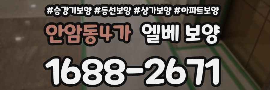 안암동4가 엘베 보양