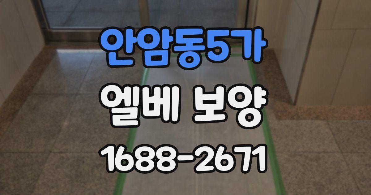 안암동5가 엘베 보양