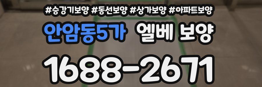 안암동5가 엘베 보양