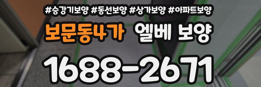 보문동4가 엘베 보양