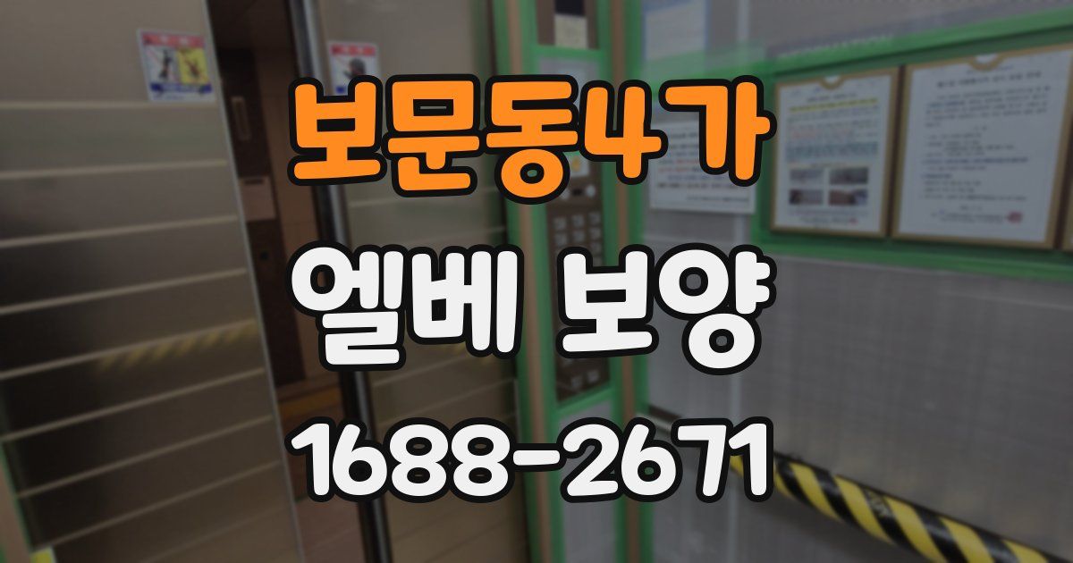 보문동4가 엘베 보양