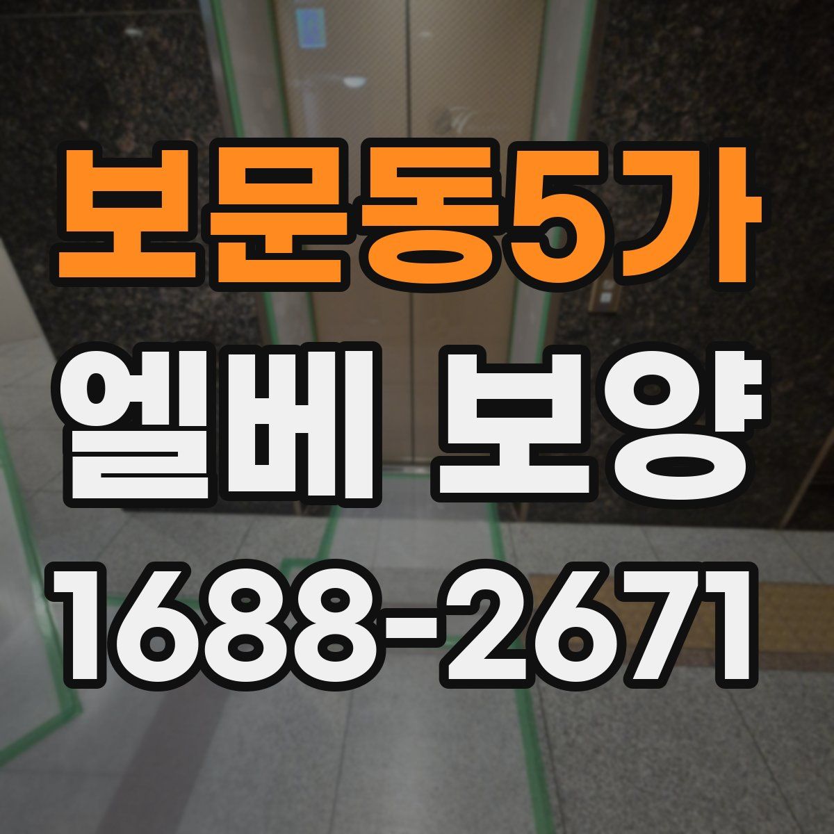 보문동5가 엘베 보양