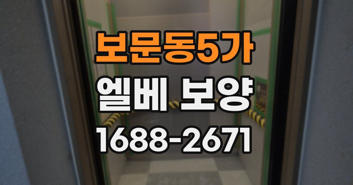 보문동5가 엘베 보양