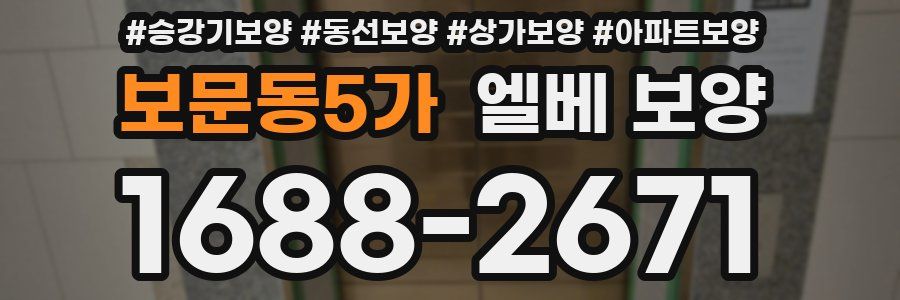 보문동5가 엘베 보양