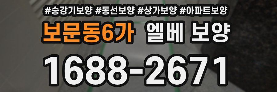 보문동6가 엘베 보양