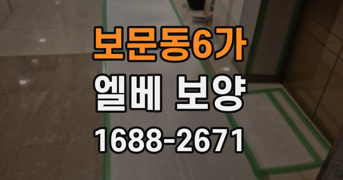보문동6가 엘베 보양