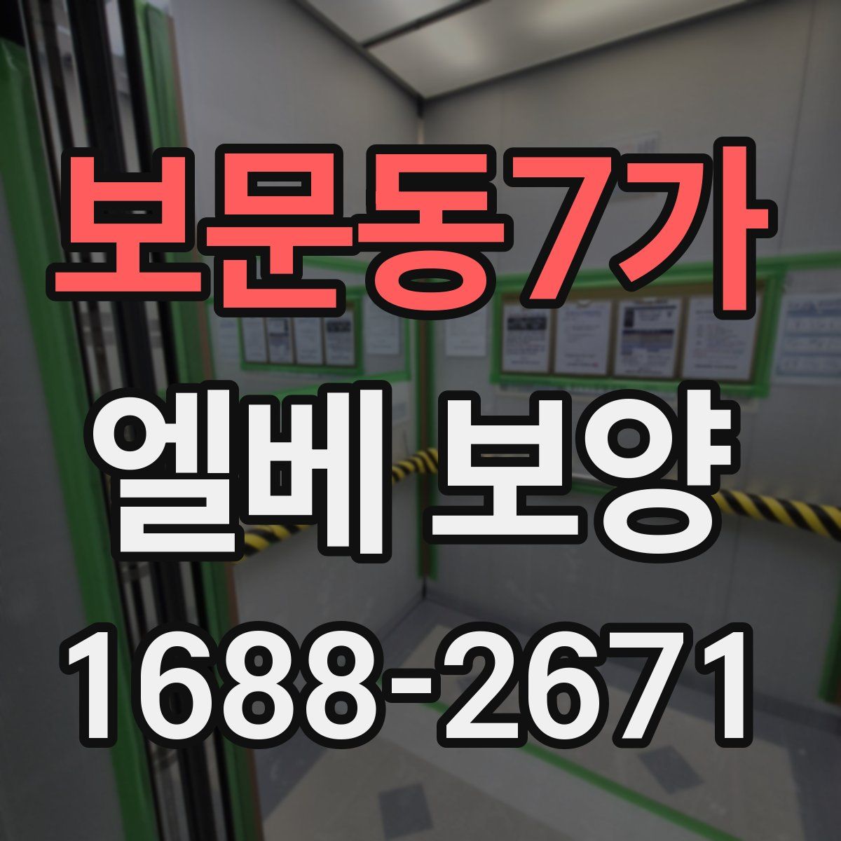 보문동7가 엘베 보양
