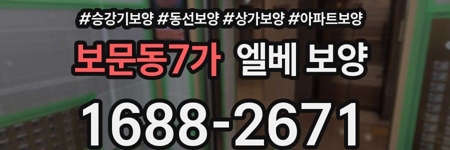 보문동7가 엘베 보양