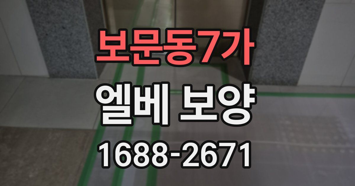 보문동7가 엘베 보양