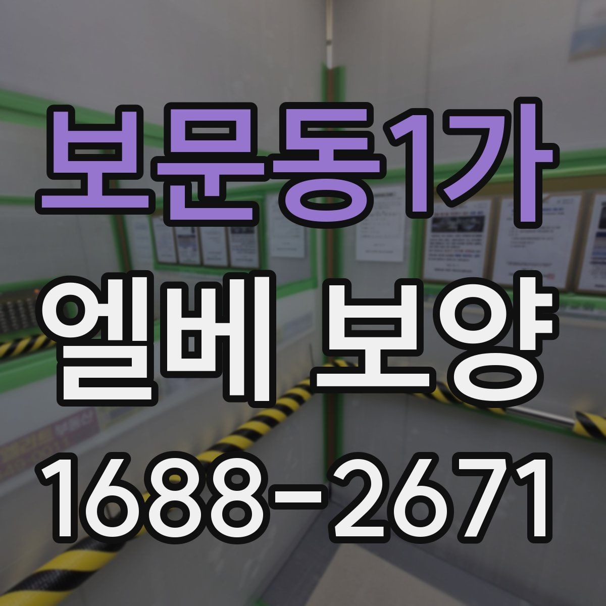 보문동1가 엘베 보양 관리규정에 맞춰 적용하는 방식