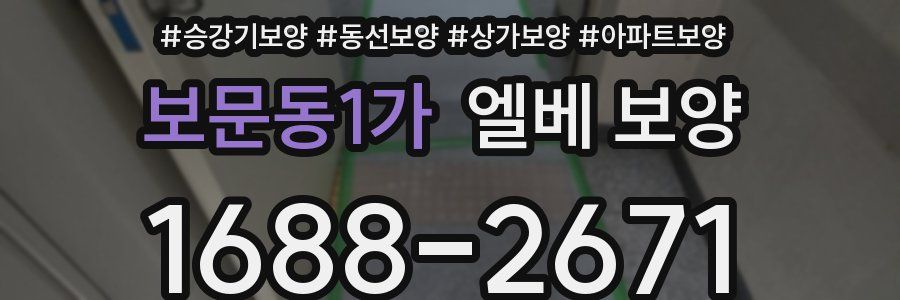 보문동1가 엘베 보양