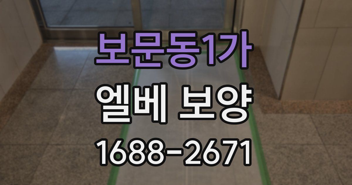 보문동1가 엘베 보양