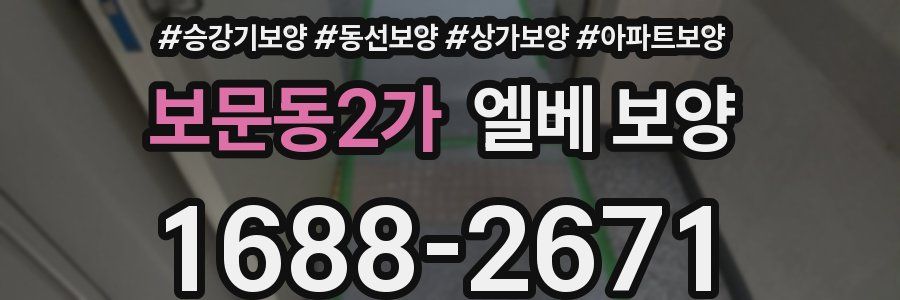 보문동2가 엘베 보양