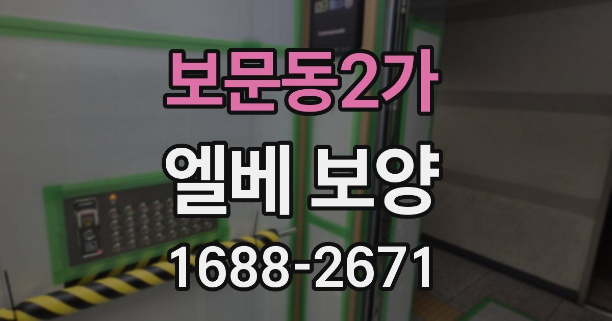 보문동2가 엘베 보양