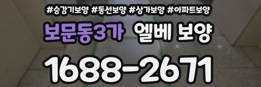 보문동3가 엘베 보양