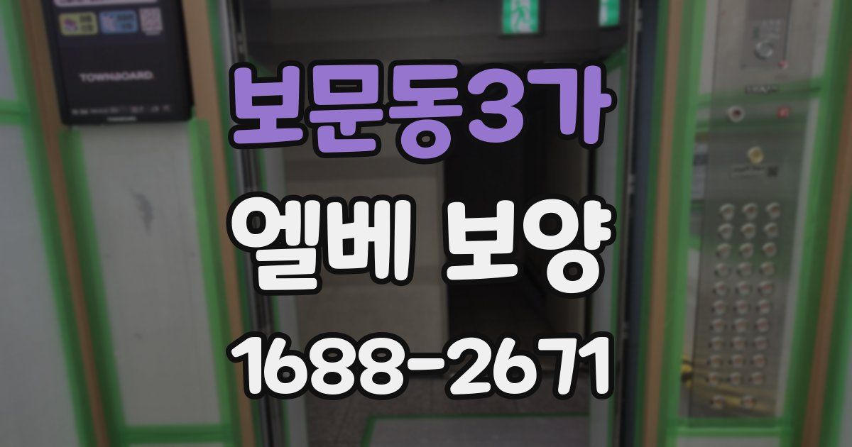 보문동3가 엘베 보양