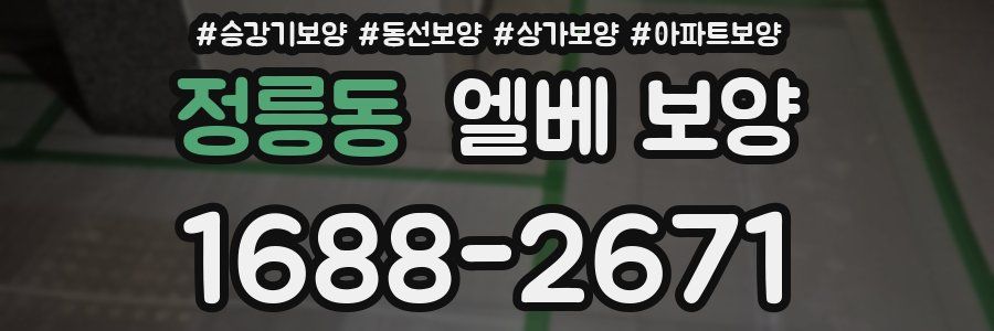 정릉동 엘베 보양