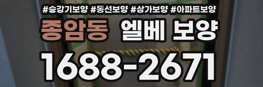 종암동 엘베 보양
