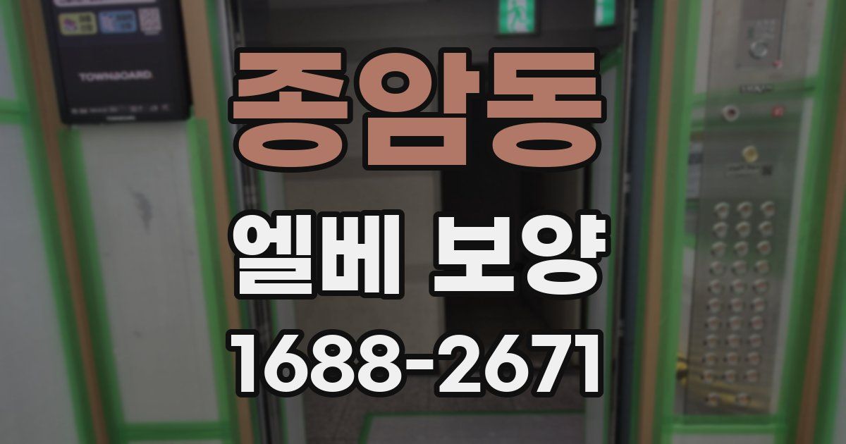 종암동 엘베 보양