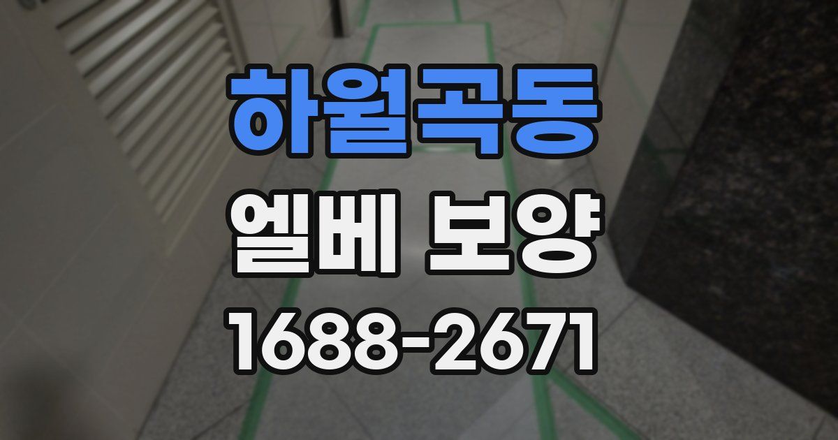 하월곡동 엘베 보양