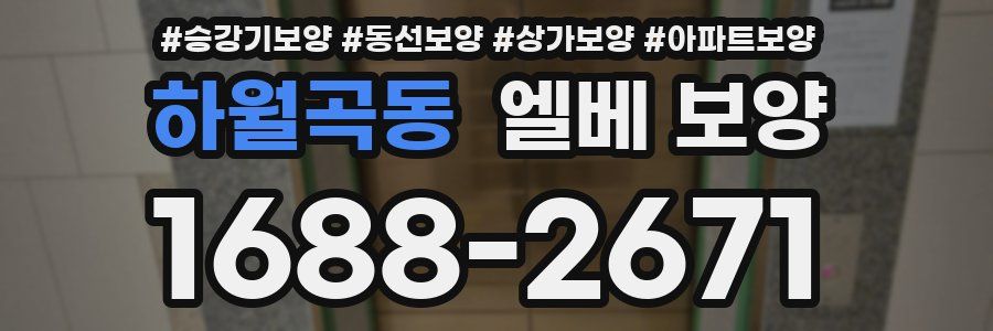 하월곡동 엘베 보양