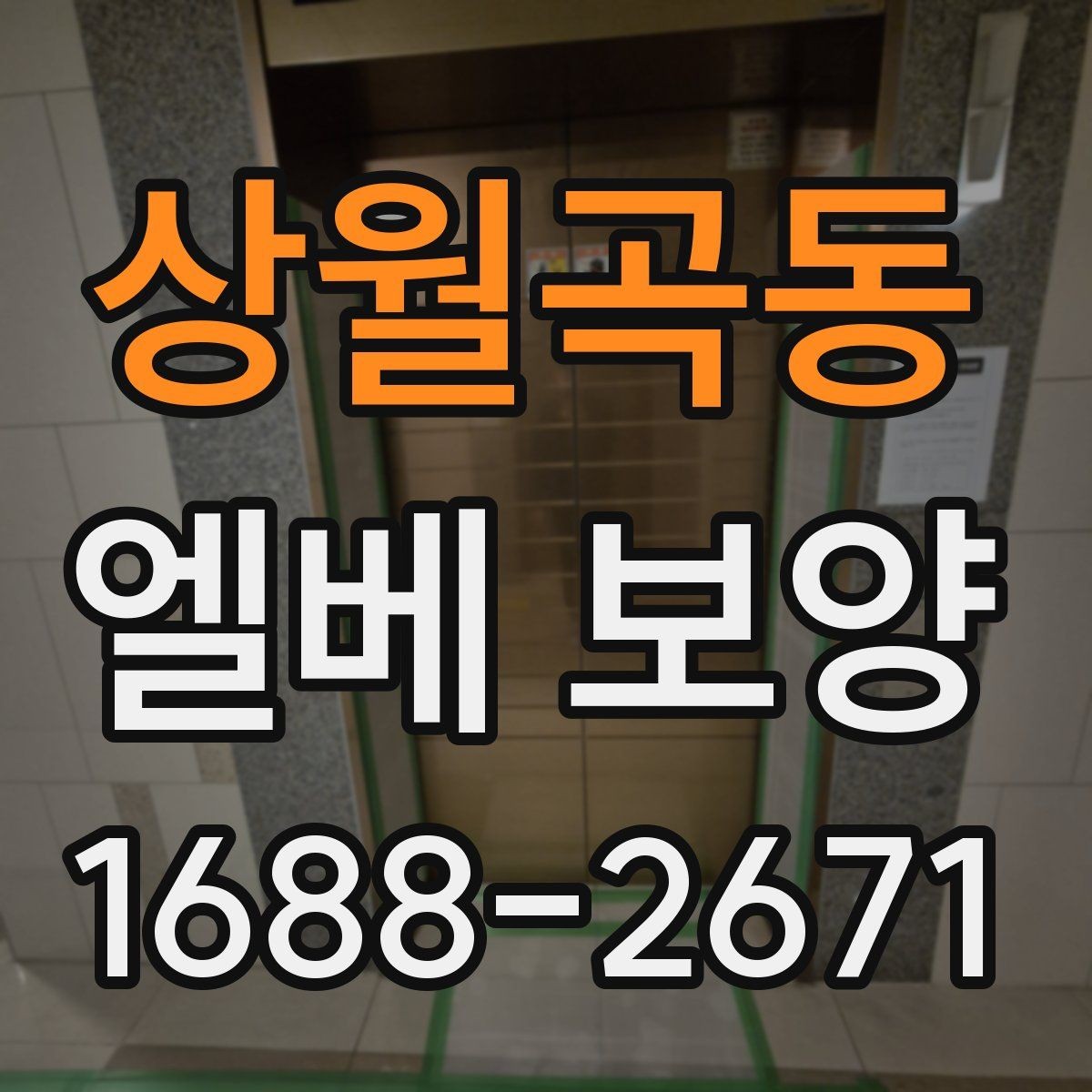 상월곡동 엘베 보양 운반 동선에 맞춰 설계하는 보호 순서